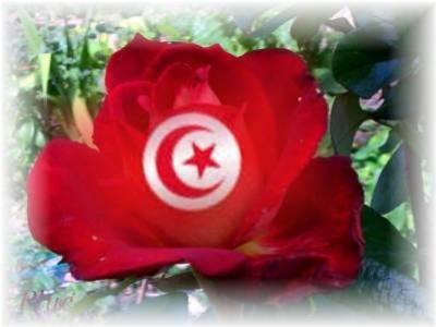 maison location de vacances Tunisie